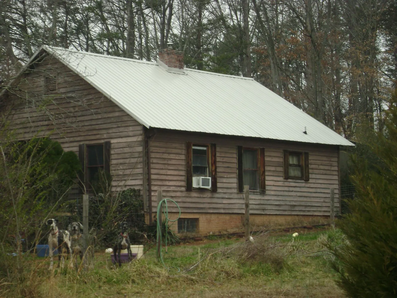 White metal roof on an old wood sided farmhouse, from a Asphalt Shingle Roof Repair job in Princeville